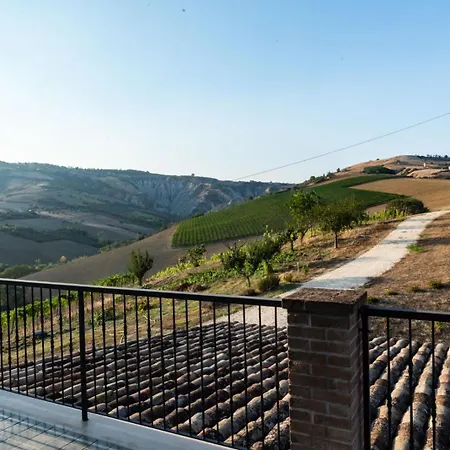 Cirelli Wines *